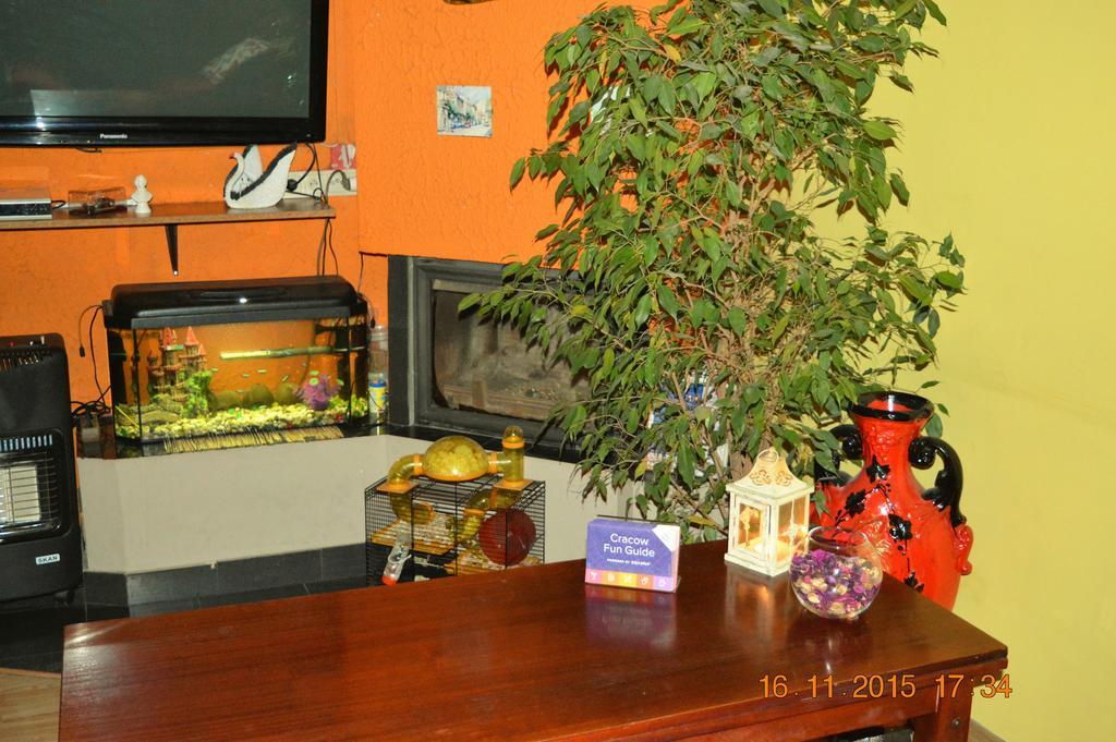 Honey Hostel Krasków Εξωτερικό φωτογραφία